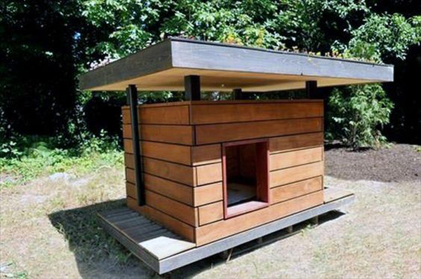 Mini-kennel-one-roof