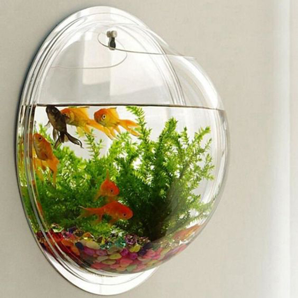 bowl-wall-hanging-aquarium-tank