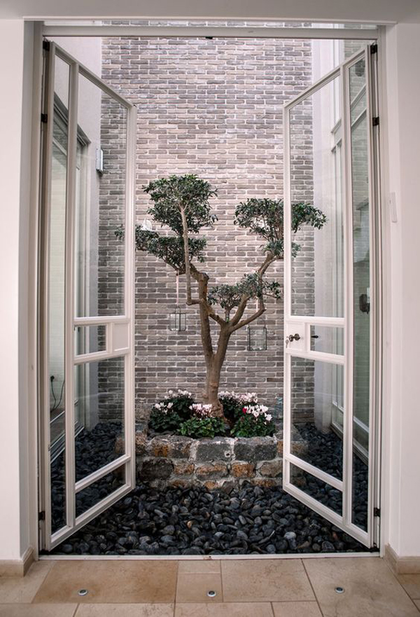 bonsai-indoor-ideas