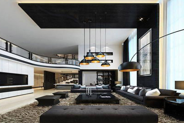 Interior-black-and-white-living-room-design