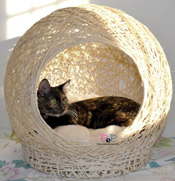 Unique-cat-basket-with-brown-color
