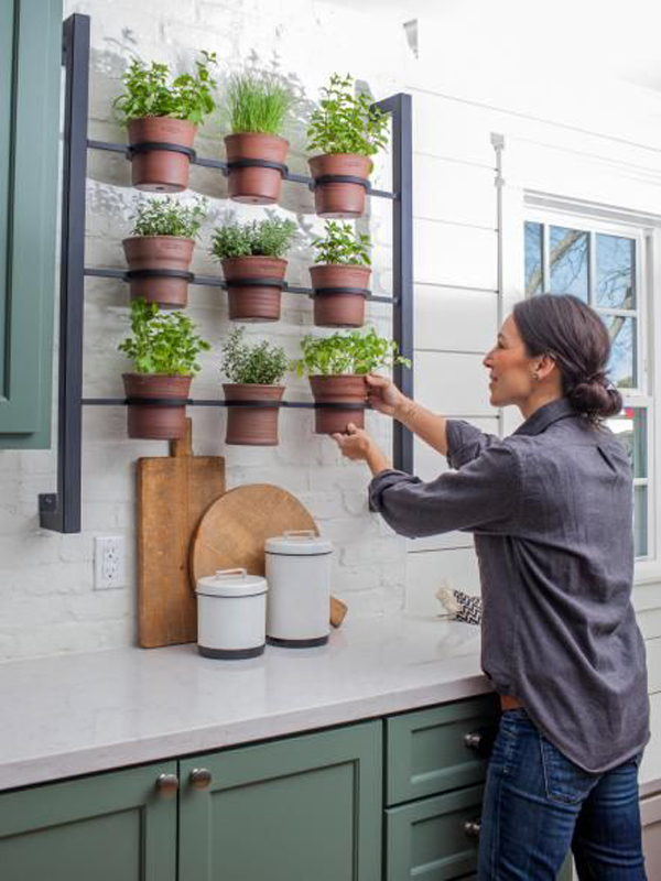 Vertical-garden-in-the-outdoor-kitchen