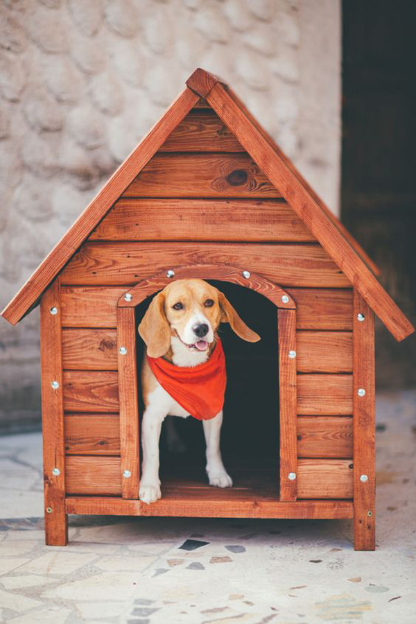 Beautiful-wood-dog-house-ideas