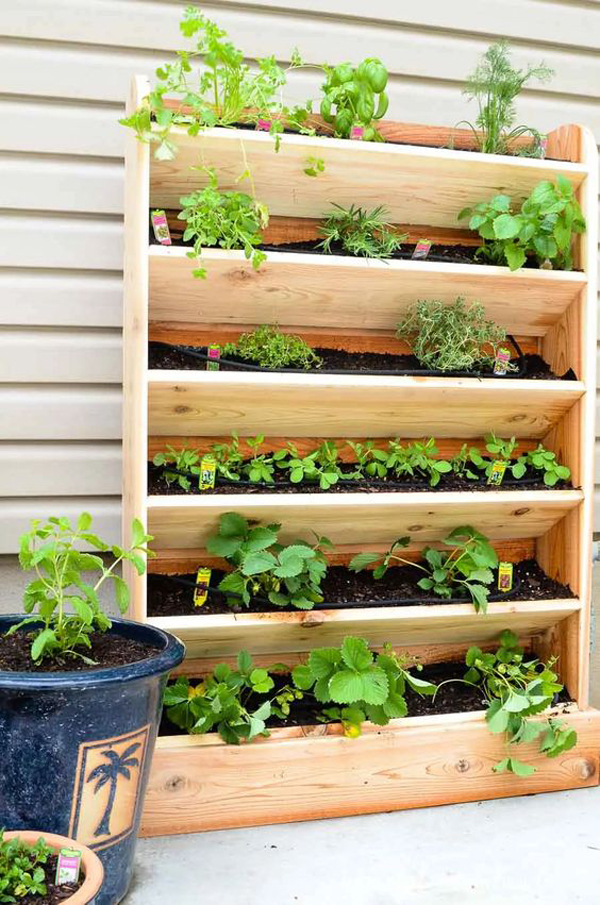 Vertical-garden-with-drip-watering-system-ideas