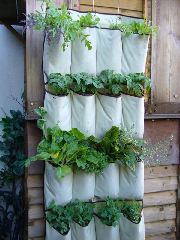 Vertical-vegetable-garden-using-pockets