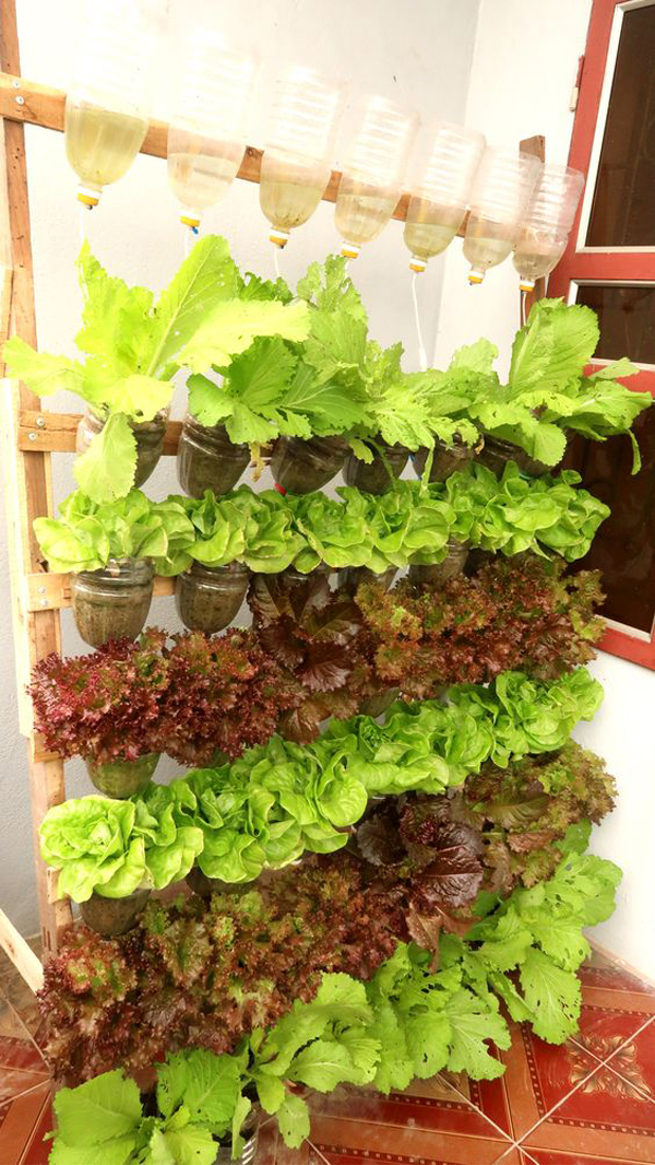 Vertical-vegetable-garden-ideas