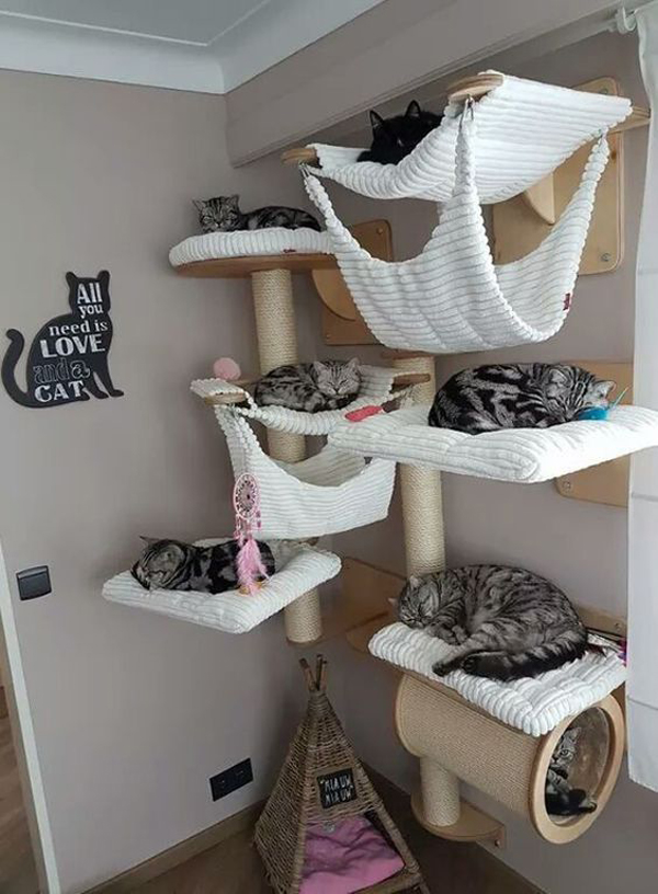 Cat-room-ideas