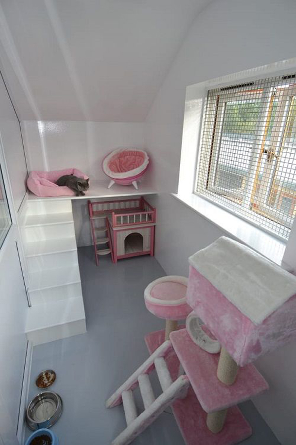 Cat-room-with-pinky-theme