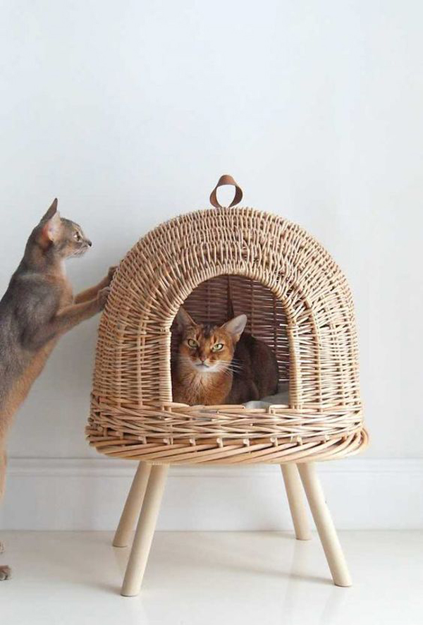 Giving-a-cat-houses-as-a-unique-gift-for-you-beloved-cat