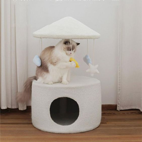 Funny-cats-accessories