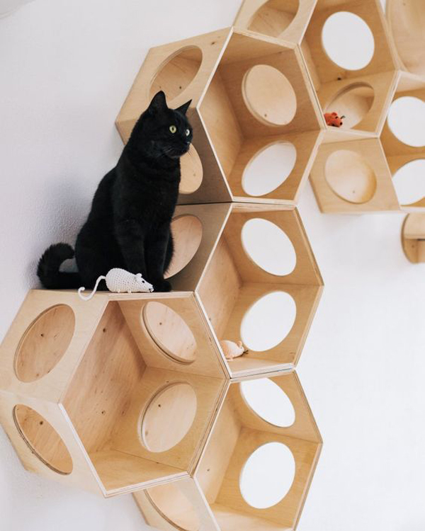 Smart-and-unique-gifts-for-your-cats