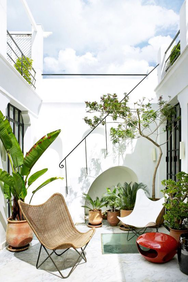 Best-courtyard-garden-with-a-white-vibe
