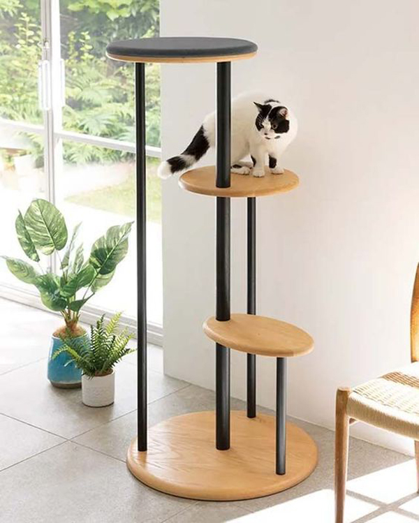 Cat-playing-area