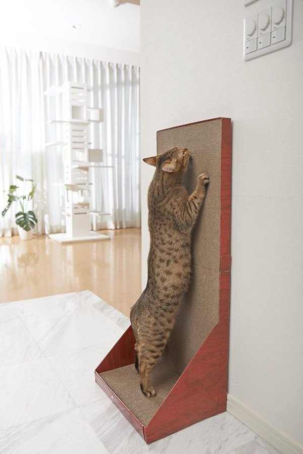 Cat-playing-furniture-in-the-wall