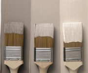The-best-soft-color-for-your-wall-paint